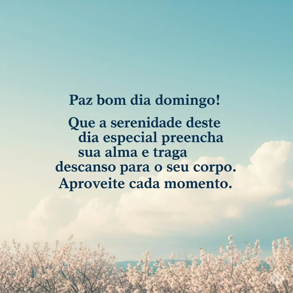 Mensagem 13