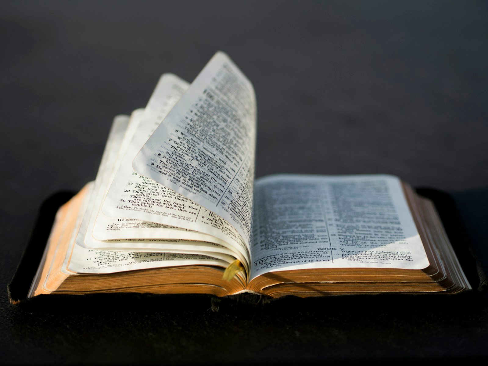 Tudo É no Tempo de Deus: 50 Frases de Fé e Paciência 1 Livro aberto iluminado para frases de Deus na minha vida