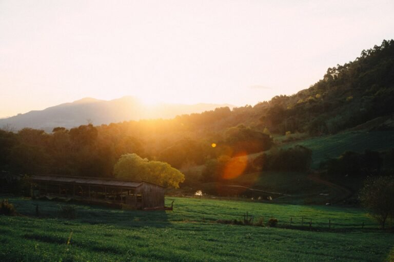 Casa no campo iluminada para mensagem de bom dia e boa semana