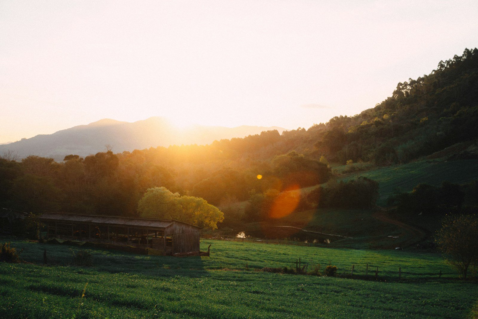 Casa no campo iluminada para mensagem de bom dia e boa semana