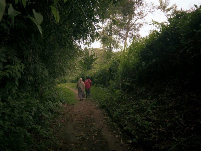Casal em caminho cercado pela natureza para carta de amor