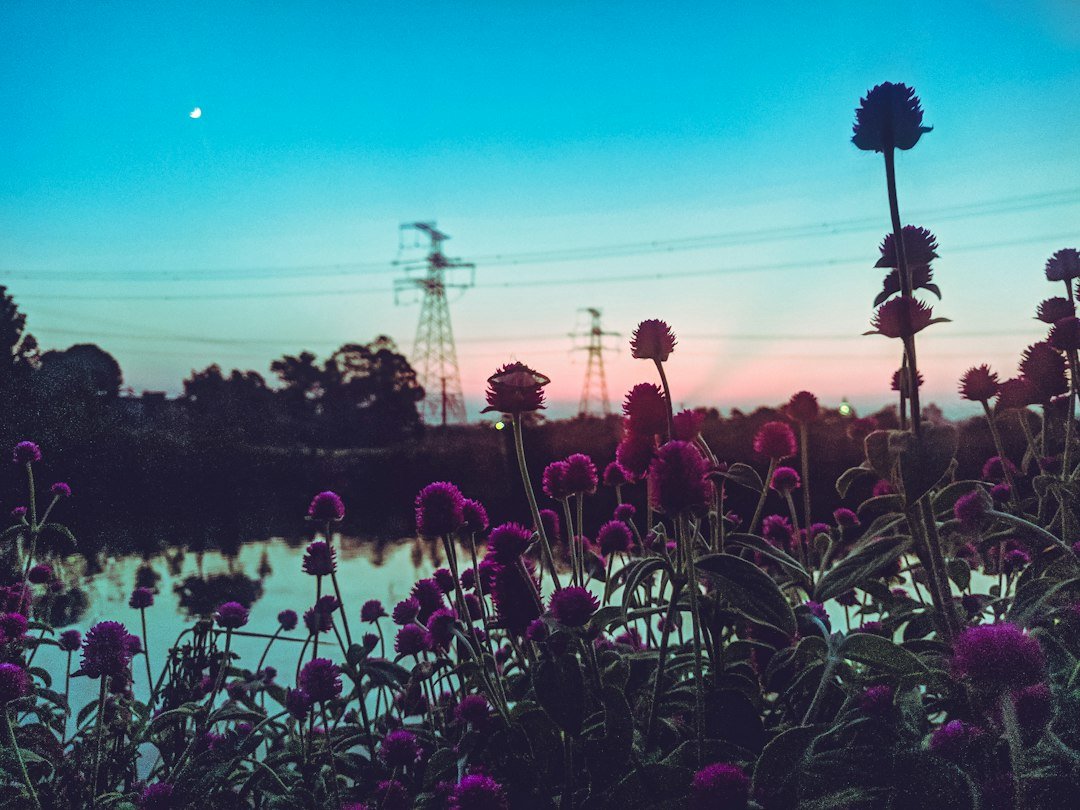 Paisagem ao pôr do sol