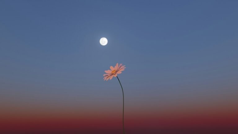 Flor com a lua ao fundo