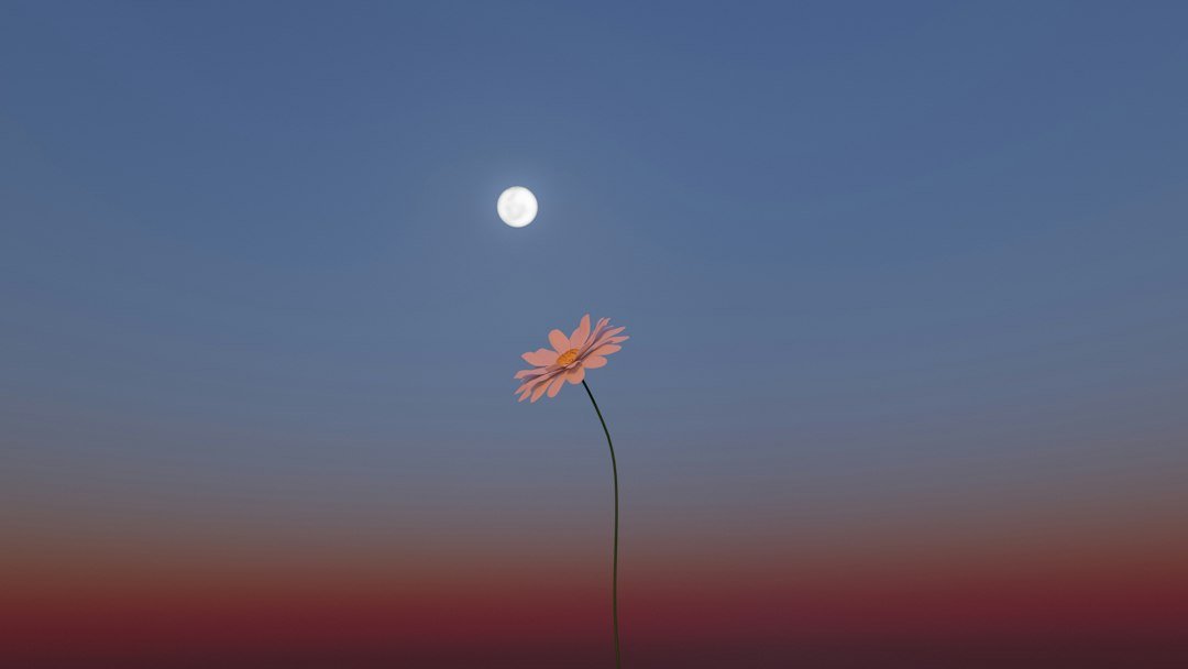 Oração da Noite para Dormir Bem: 44 Orações e Frases 1 Flor com a lua ao fundo