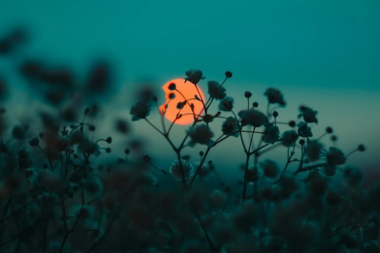 Sol alaranjado visto entre flores delicadas