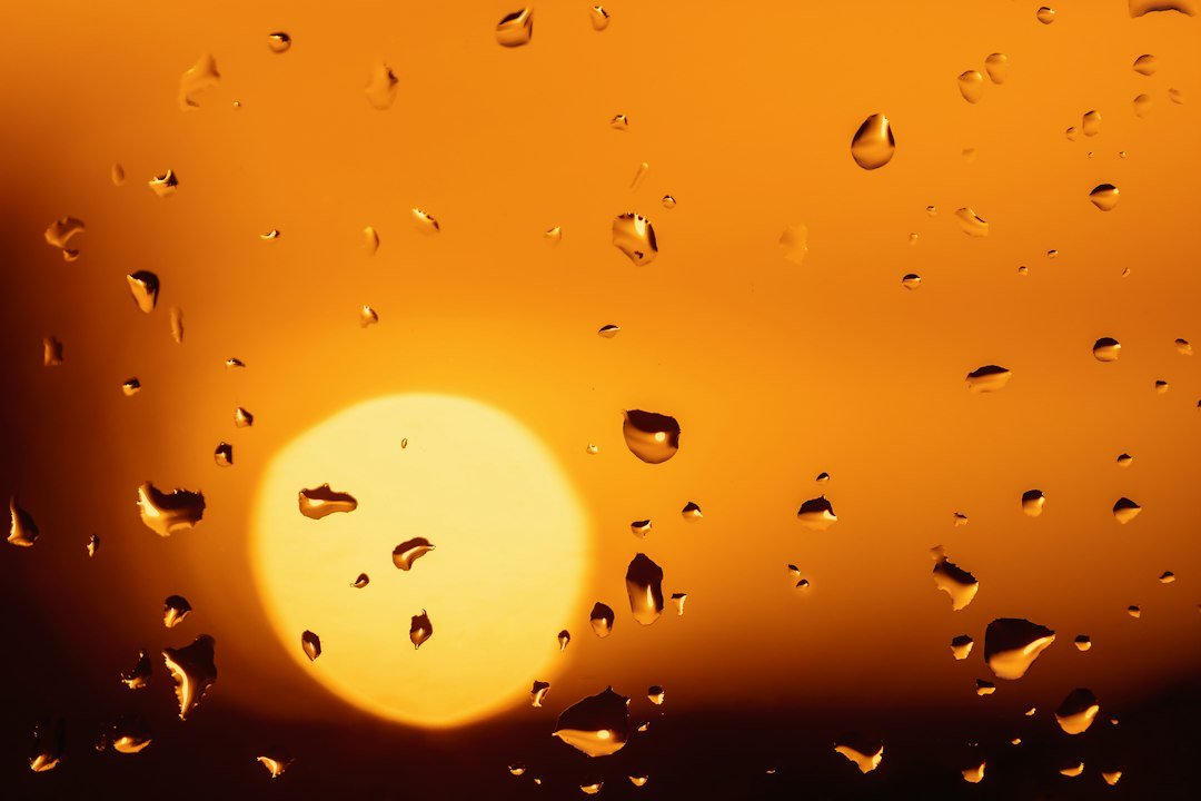 Bom Dia Terça-Feira Abençoada por Deus: 45 Mensagens 1 Luz do sol depois da chuva em uma manhã abençoada