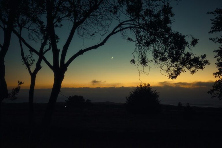 Céu romântico ao entardecer para texto de boa noite