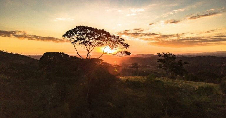 Bom Dia, Quinta-Feira com Deus: 56 Mensagens 5 Luz do amanhecer para mensagem de quinta-feira com Deus