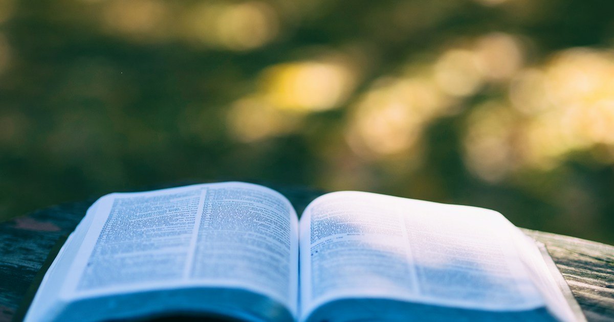 Versículos sobre o Cuidado de Deus: 52 Reflexões 1 Livro aberto à luz do sol para versículos sobre o cuidado de Deus